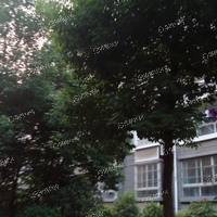 金陵新二村