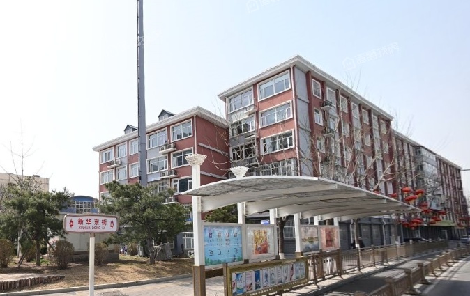 新华东街