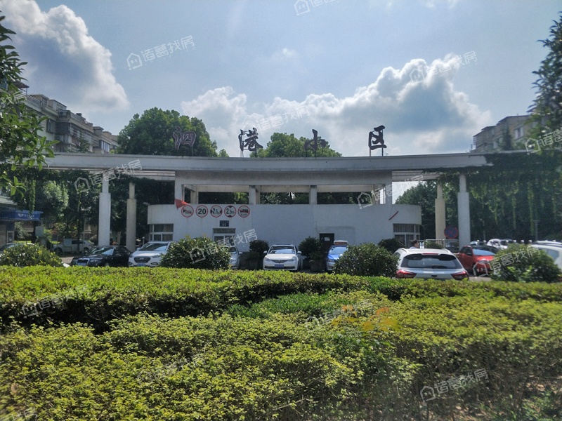 泗港小区
