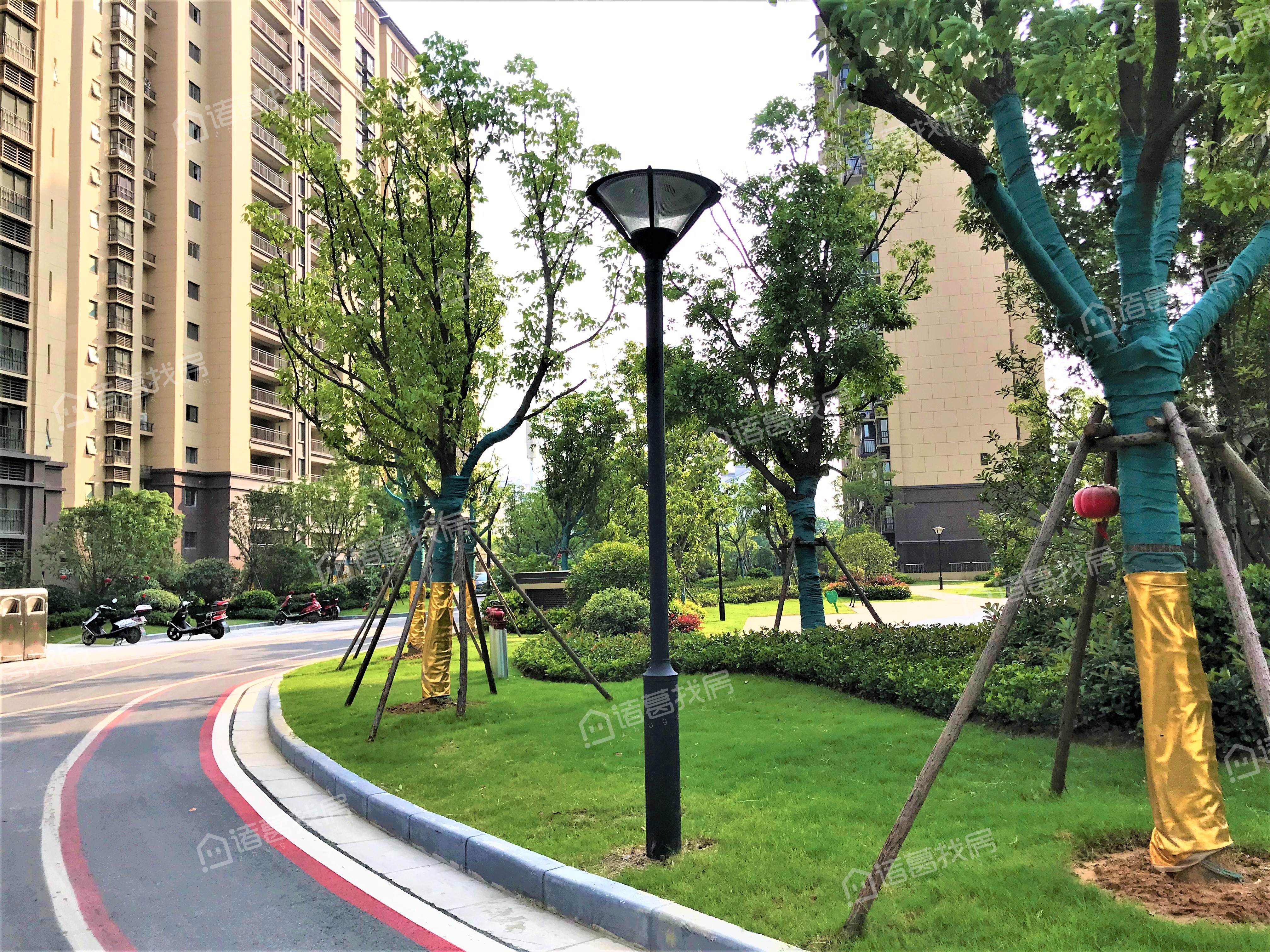 西溪碧桂园