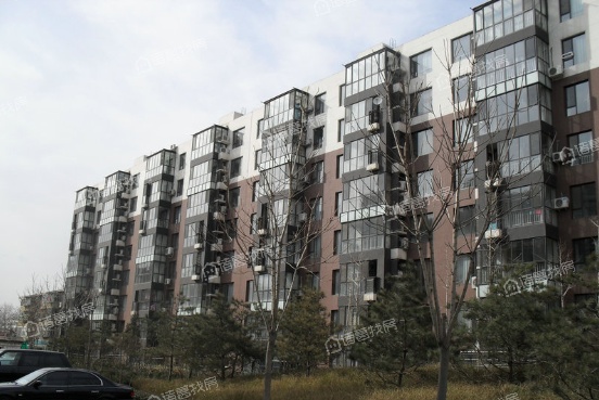 和平街东里
