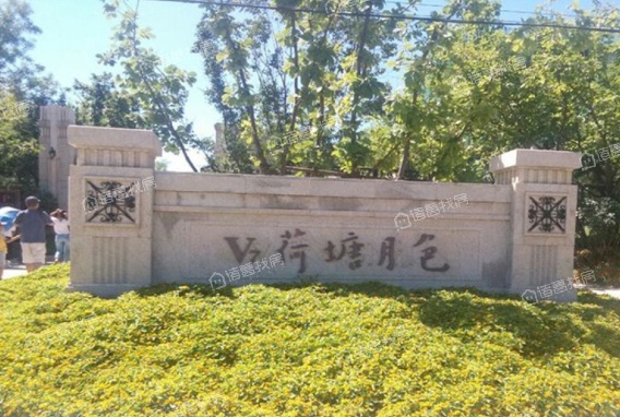V7荷塘月色