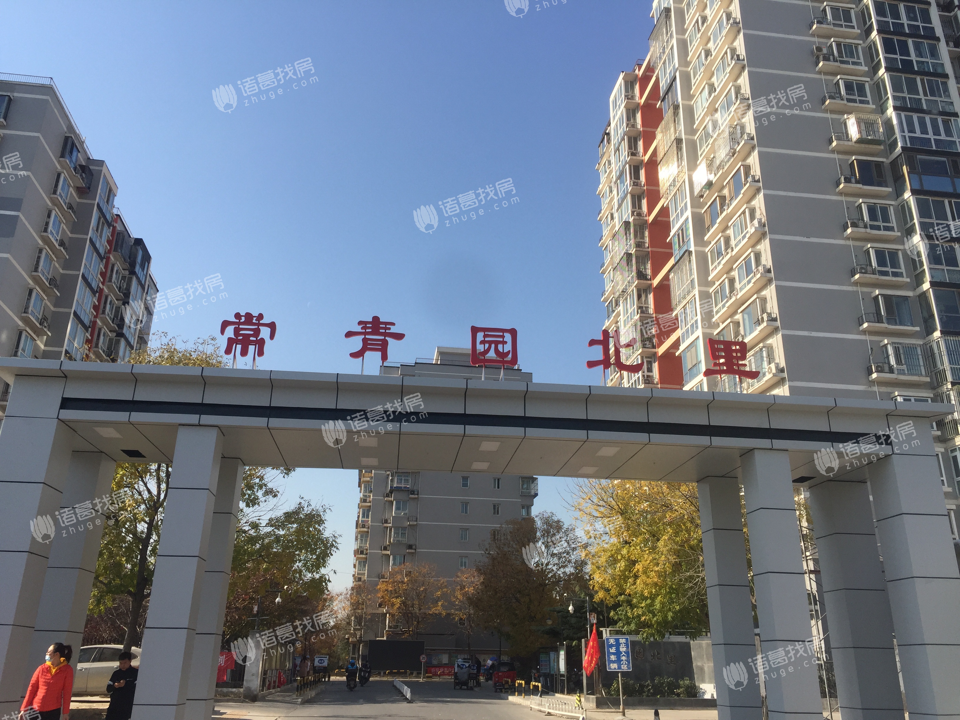 常青园北里