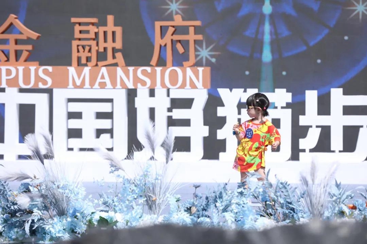 "金融府"第九届中国好猫步决赛即将启幕,"未来星"载誉