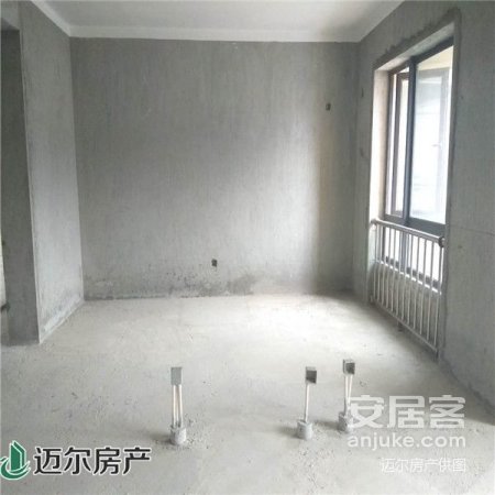 南岸公园 唐程御品 一线沿湖 住宅 高层单价15000