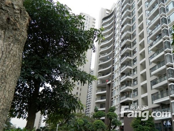 玉屏街道 凯景新天地 1室1厅玉屏街道 凯景新天地 1室1厅