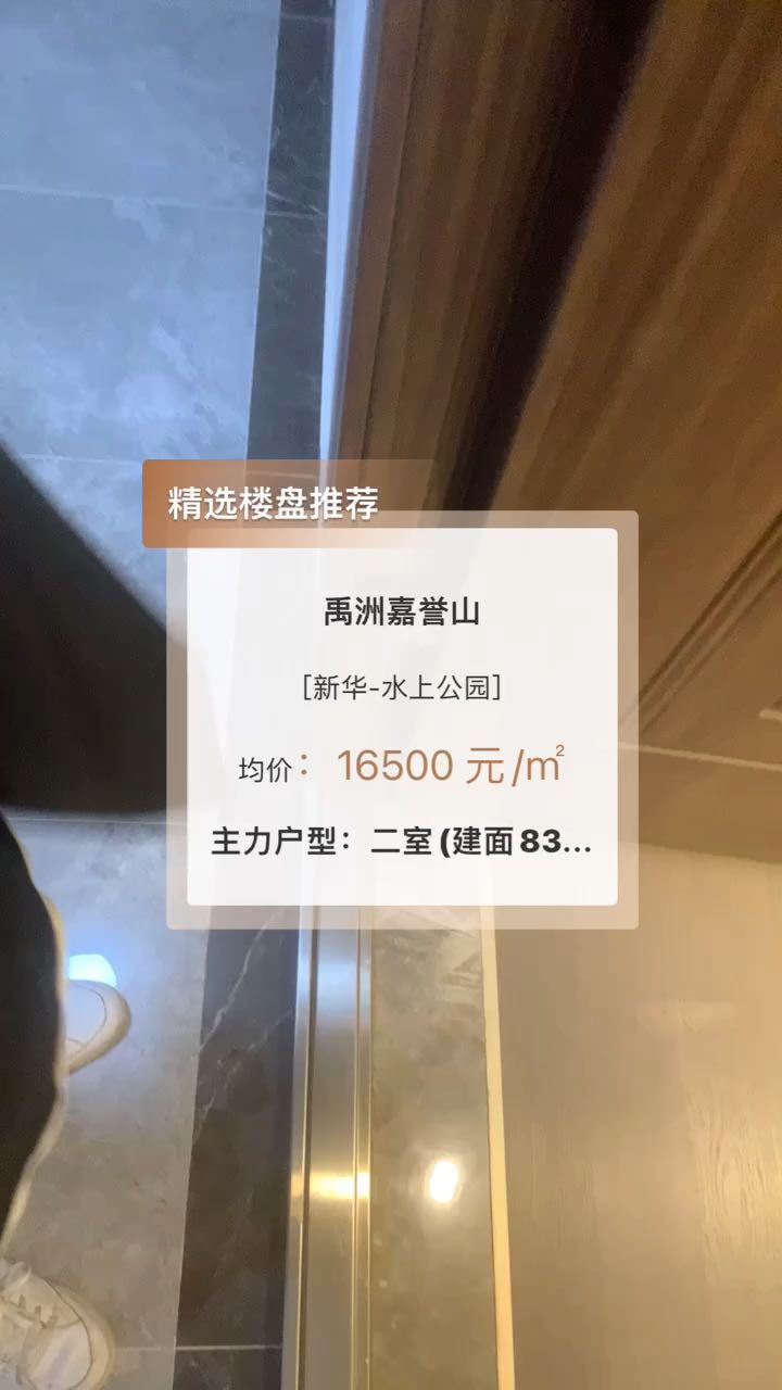 禹洲