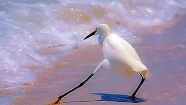 各地在楼市松绑的底线上,疯狂试探