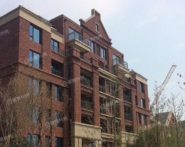 陶冲湖别院的开发商是哪家