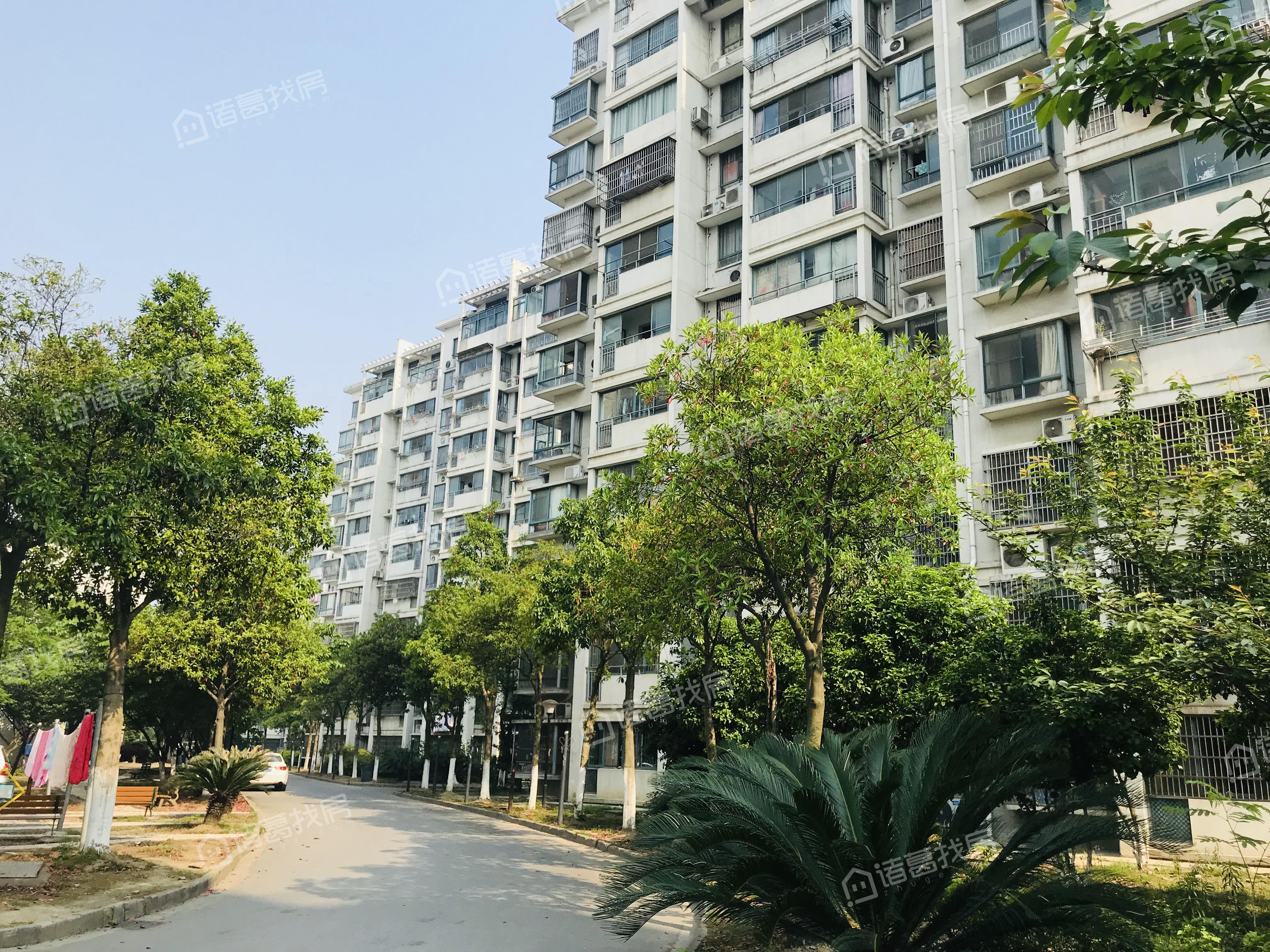 新安花苑五区均价怎么样?大概多少?