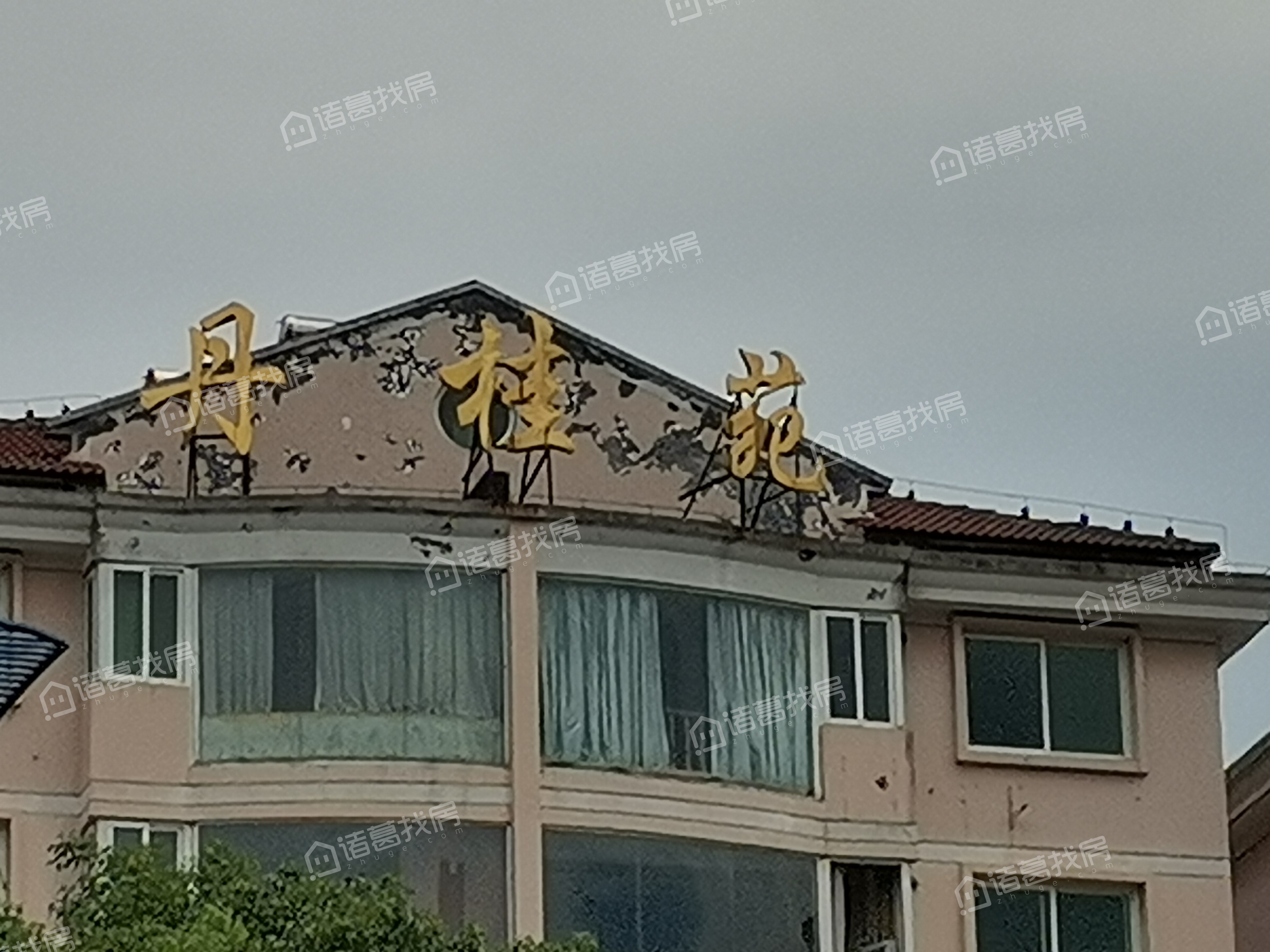 丹桂苑是哪年建的