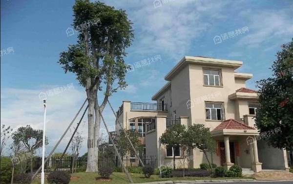 金椅豪园是哪年建的