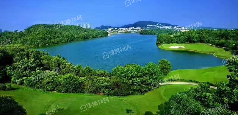 绿城青竹湖图片