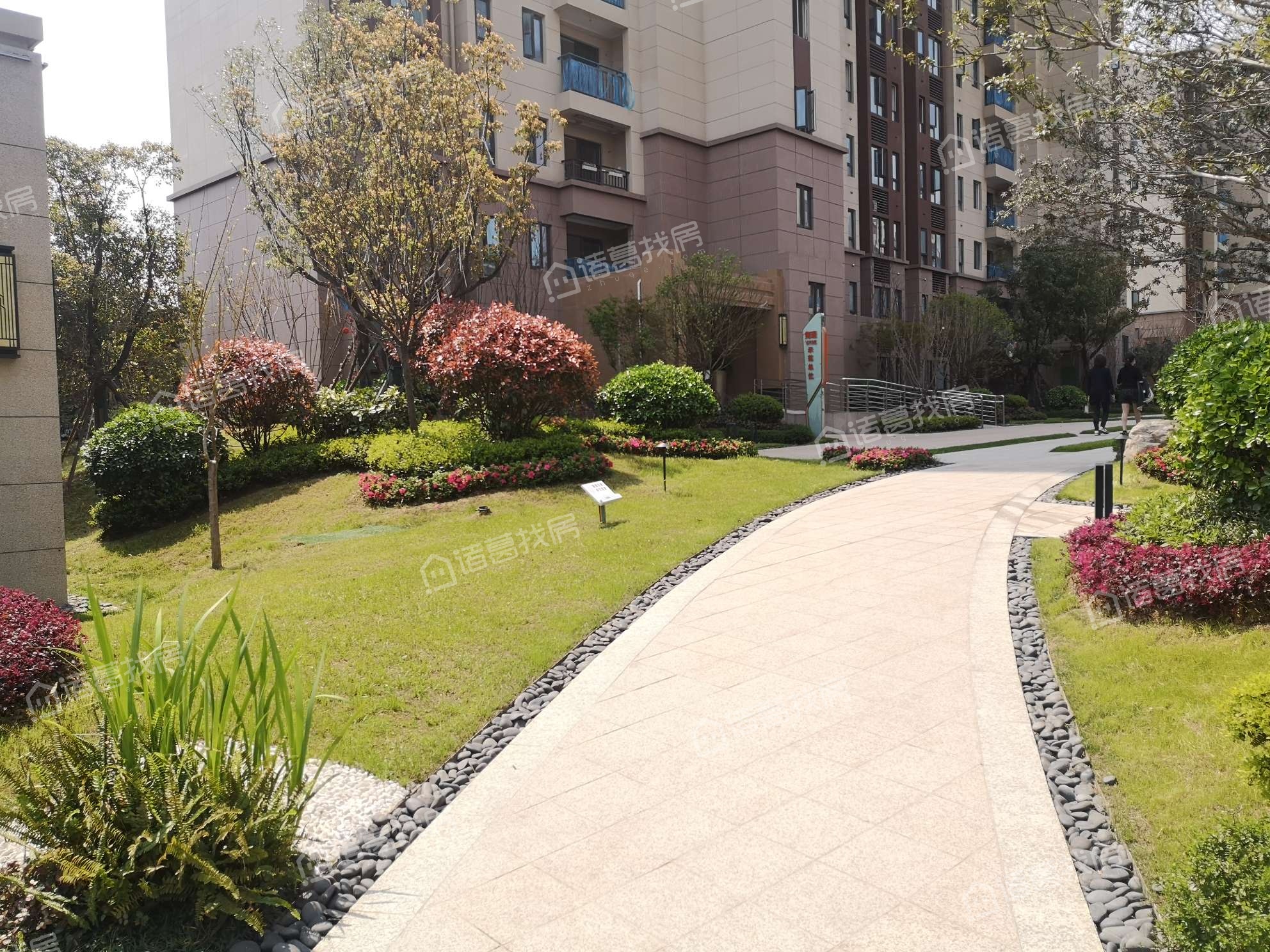 碧桂园荟隽棠占地面积有多大?-长沙买房-长沙诸葛找房