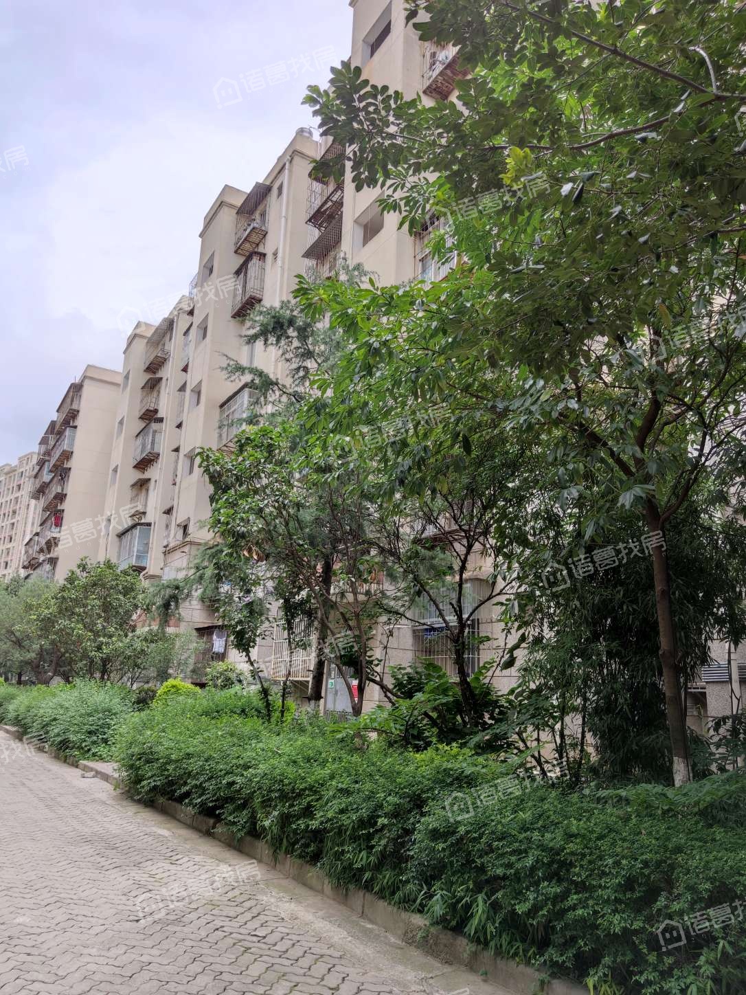 金沙小区均价怎么样大概多少