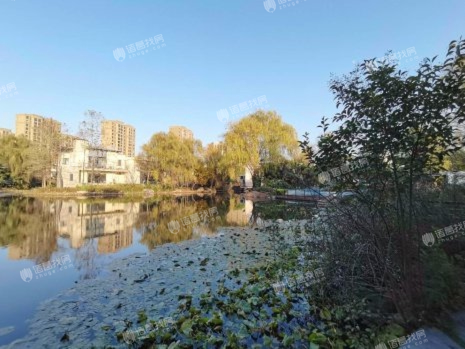 金地格林世界安布瓦湖