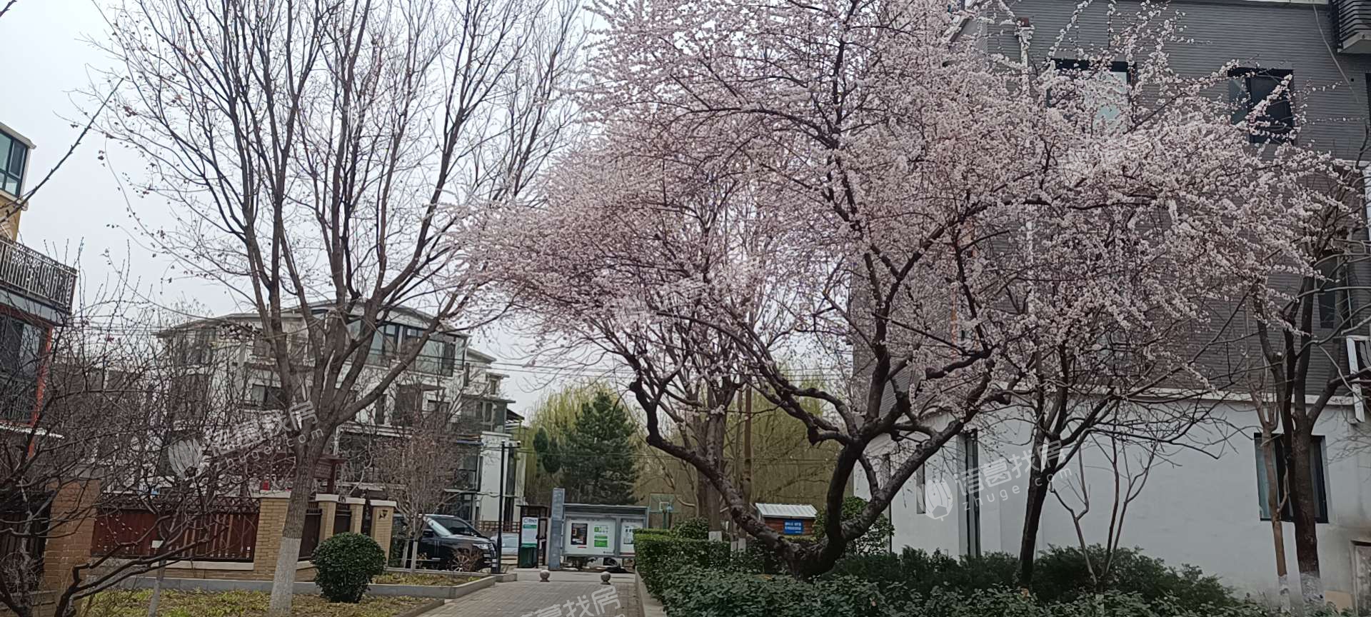 西山美墅馆A区