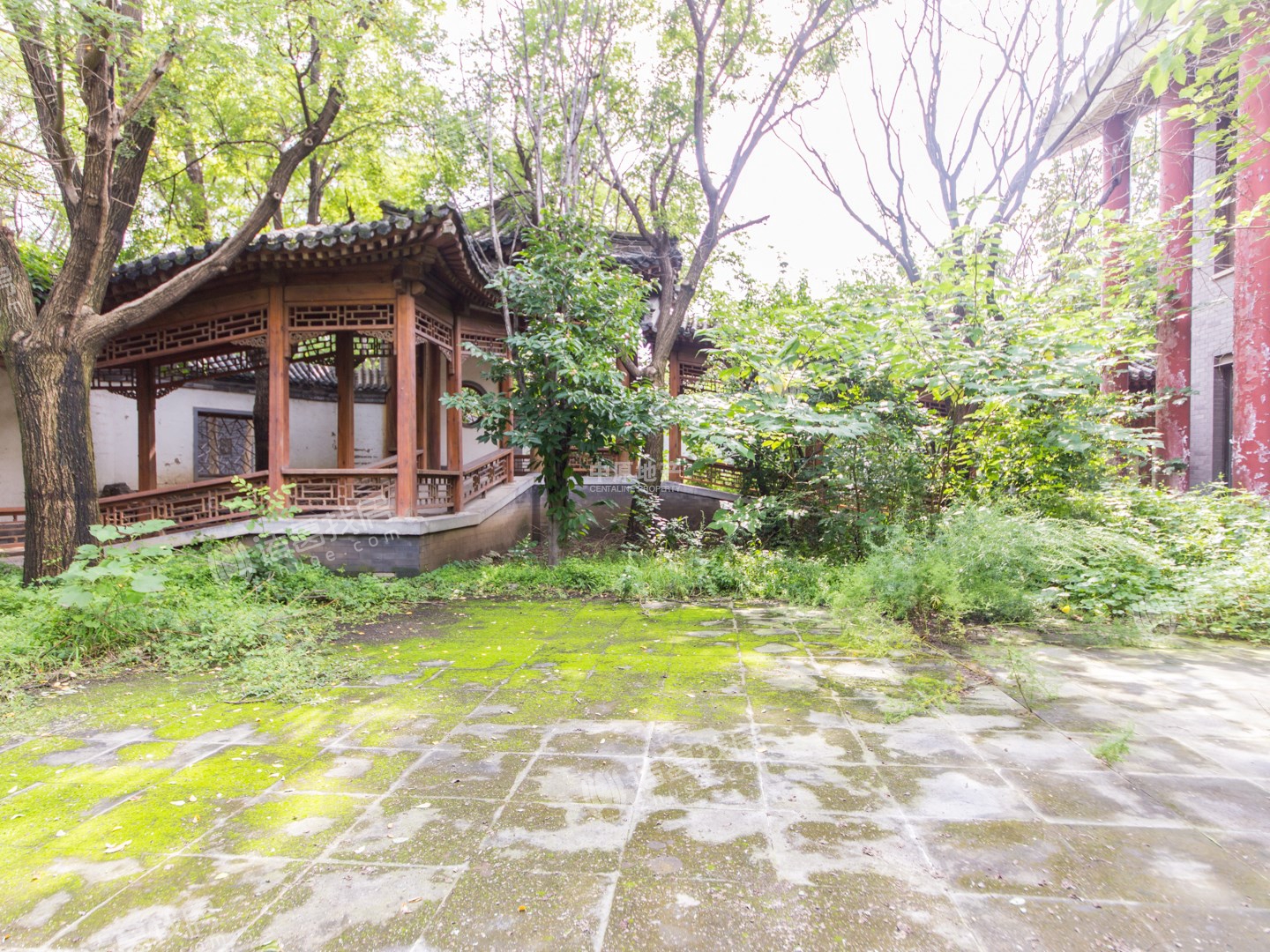 香山清琴