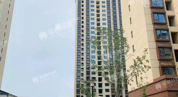 青荷里晨风园