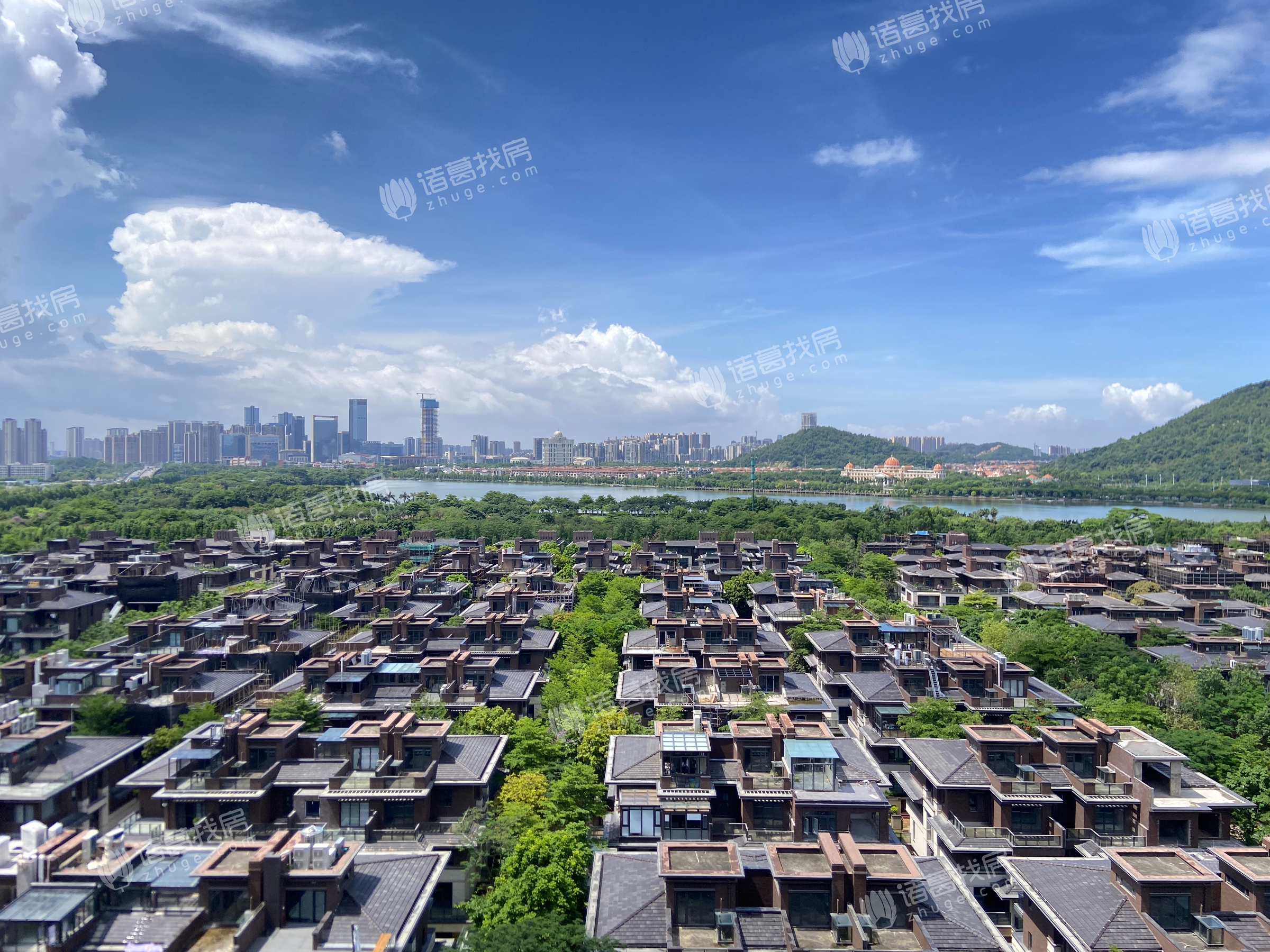 顺德华侨城天鹅湖有多少中介公司有挂牌的房源