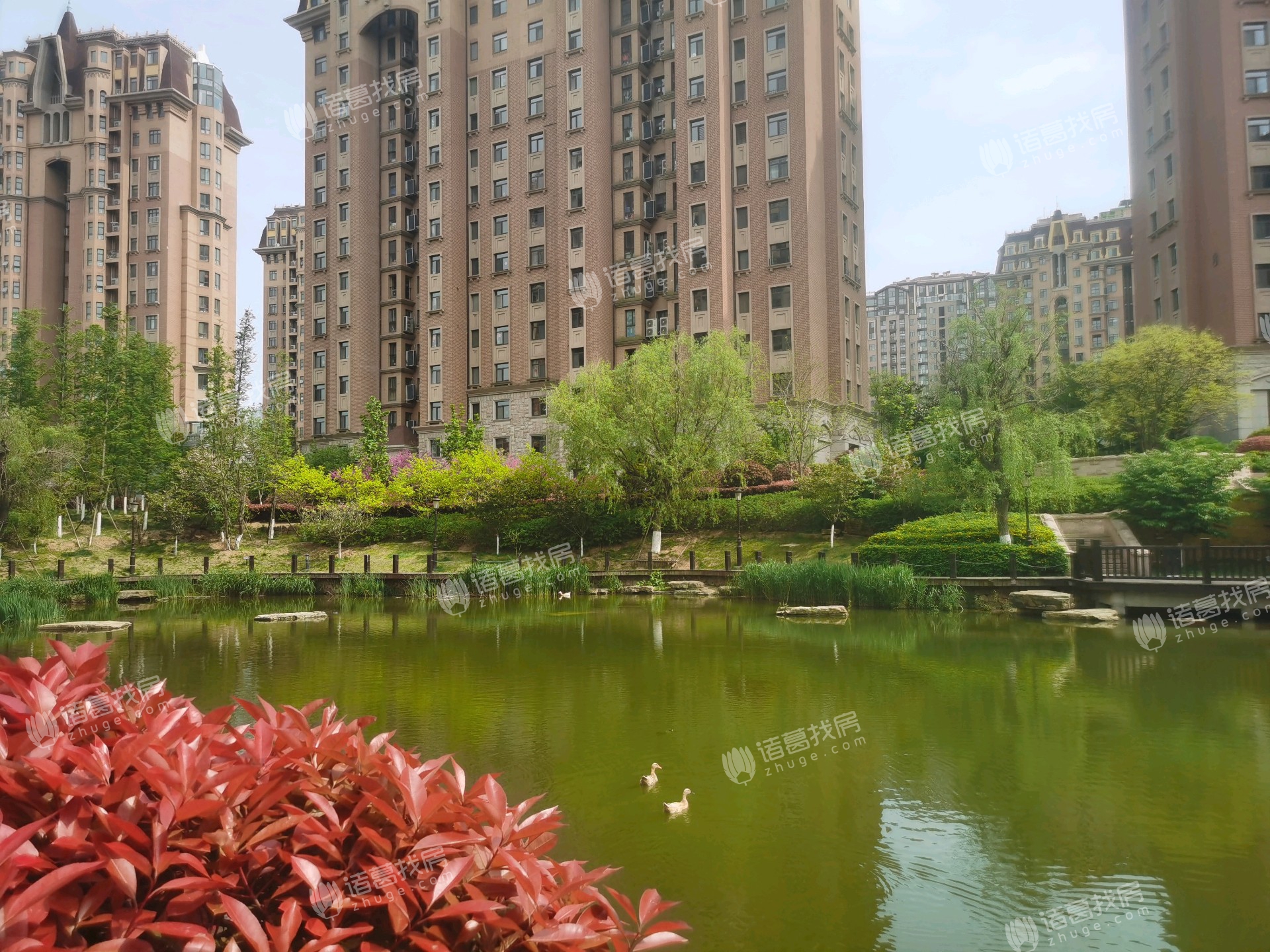 青岛印象山3室2厅出售