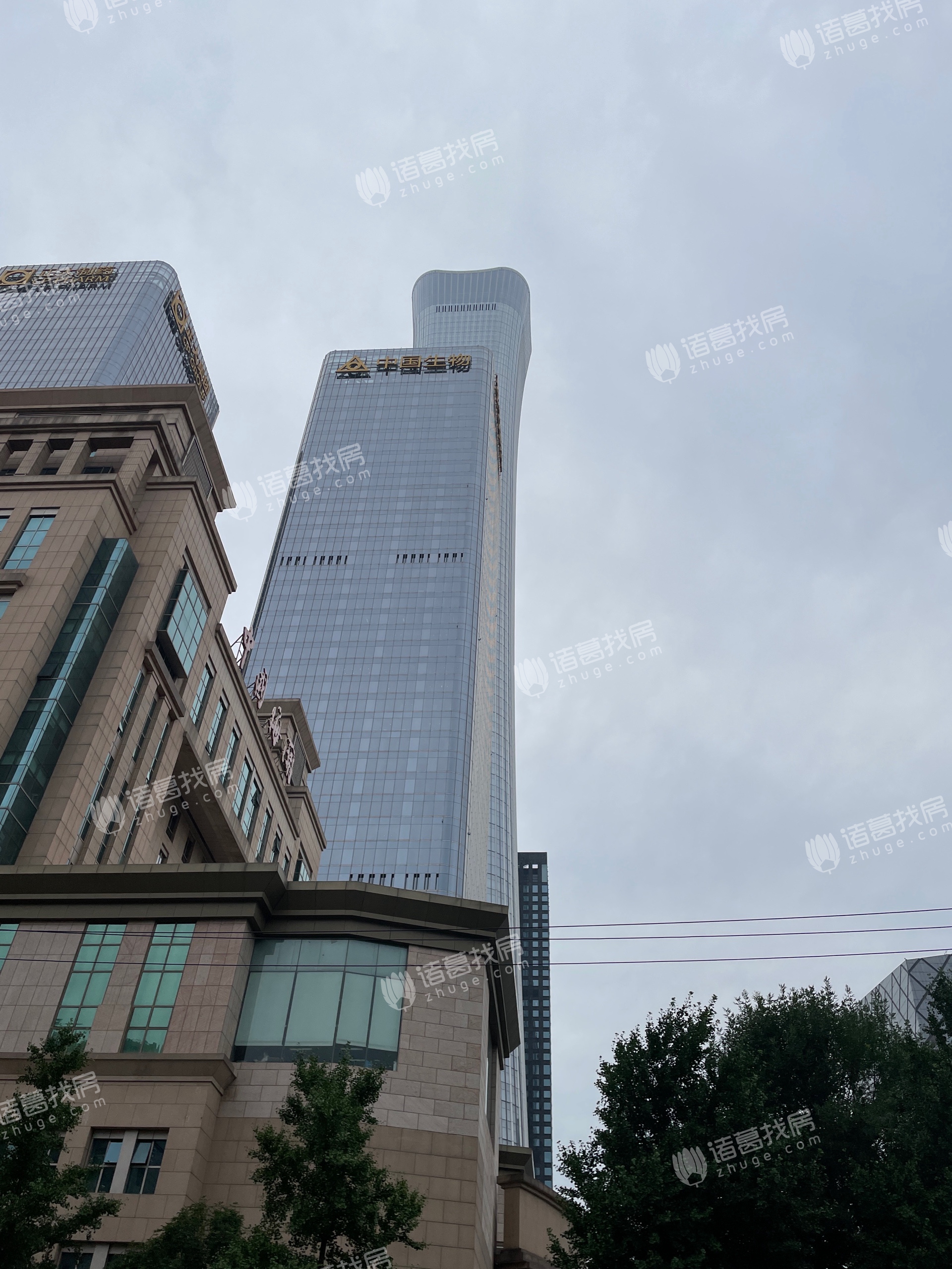 正大中心