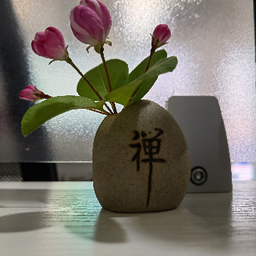 上海庆之租房中介