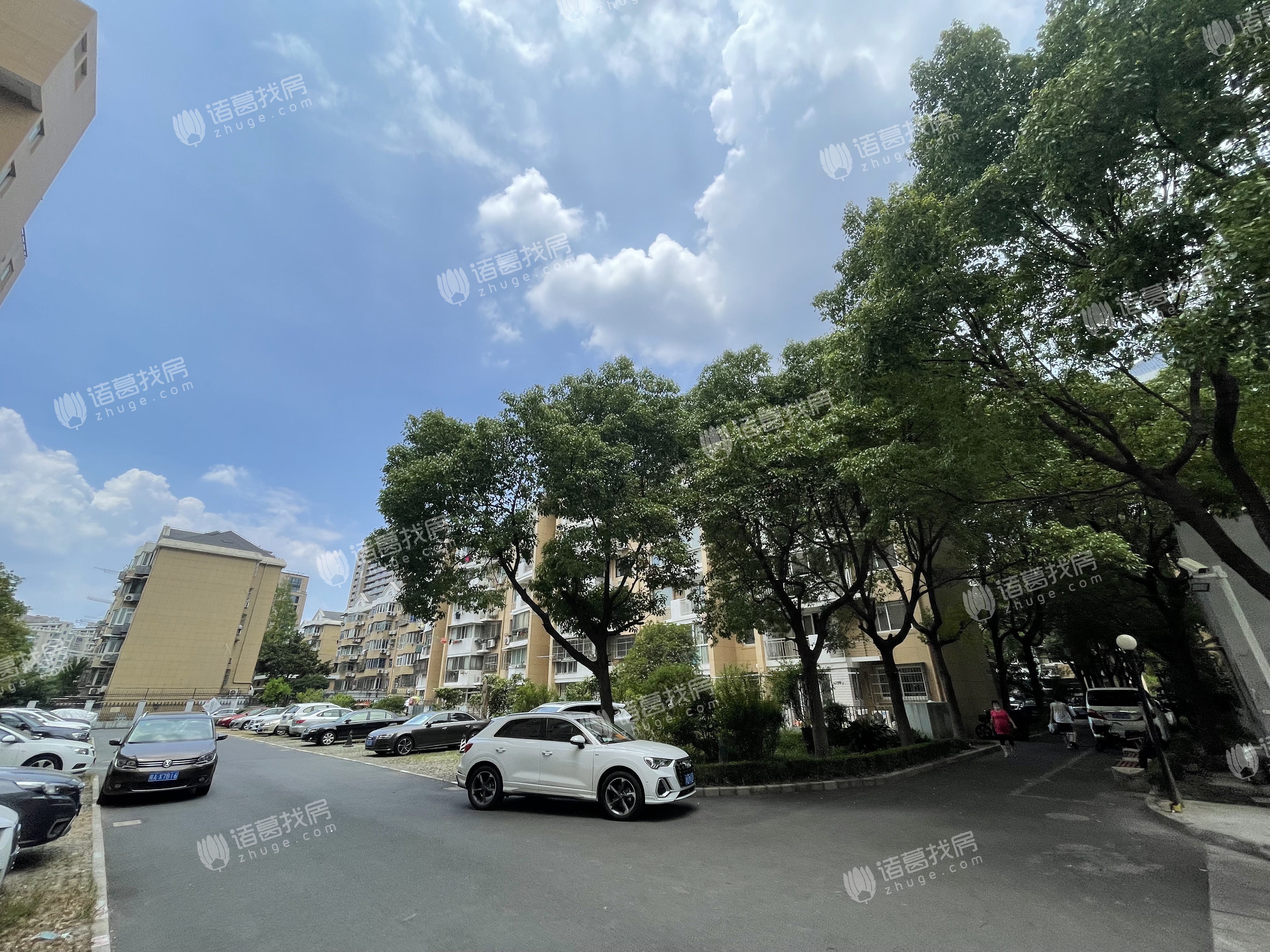 玉兰路81弄小区