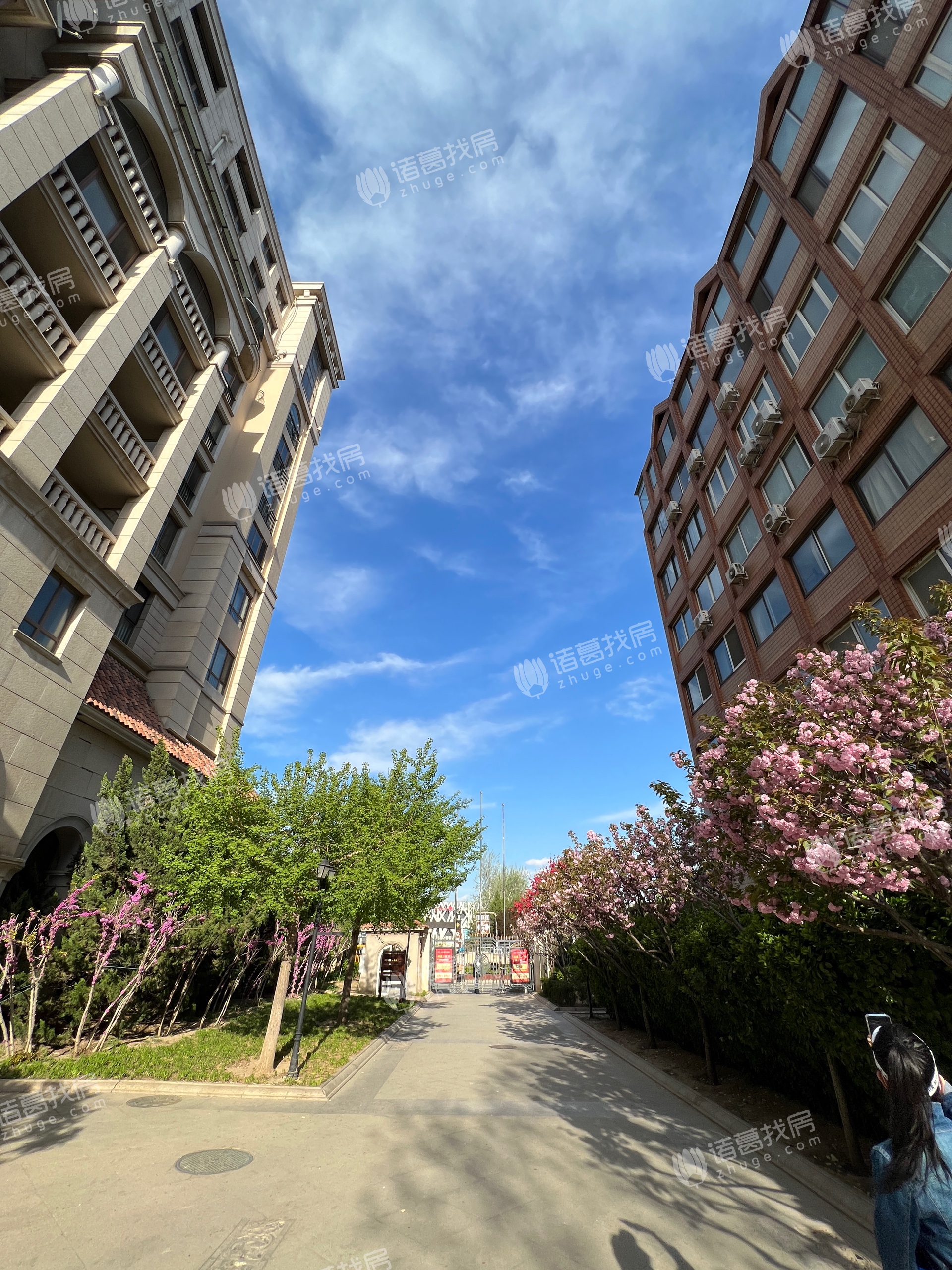 九号公寓二手房,朝阳公园路九号公寓 高层通透三居 两梯两户 蓝港亮马