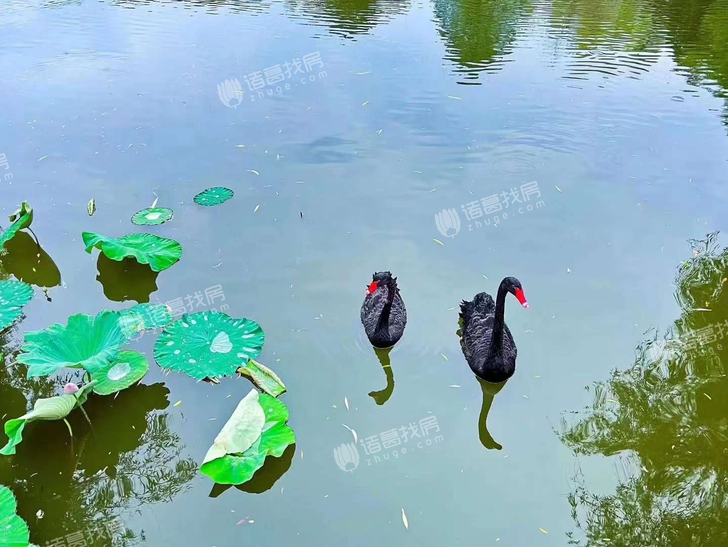 颐景园