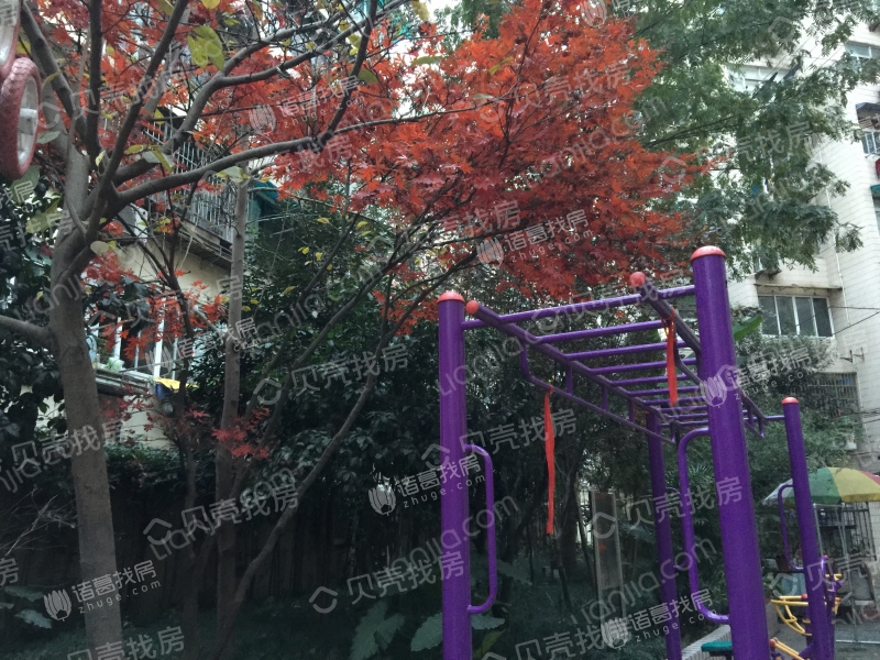 丽丽小区