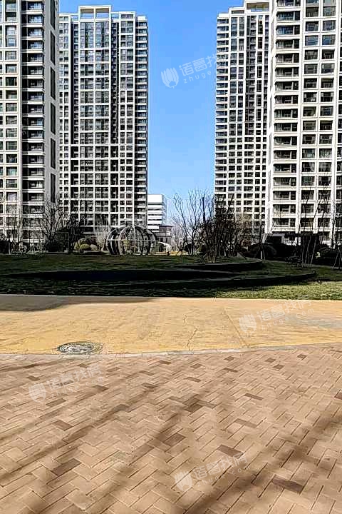 星光岛小区_青岛星光岛二手房,租房,价格走势-青岛诸葛找房网