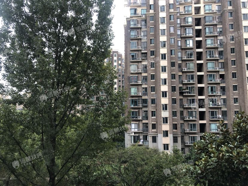 志成花苑知雅汇