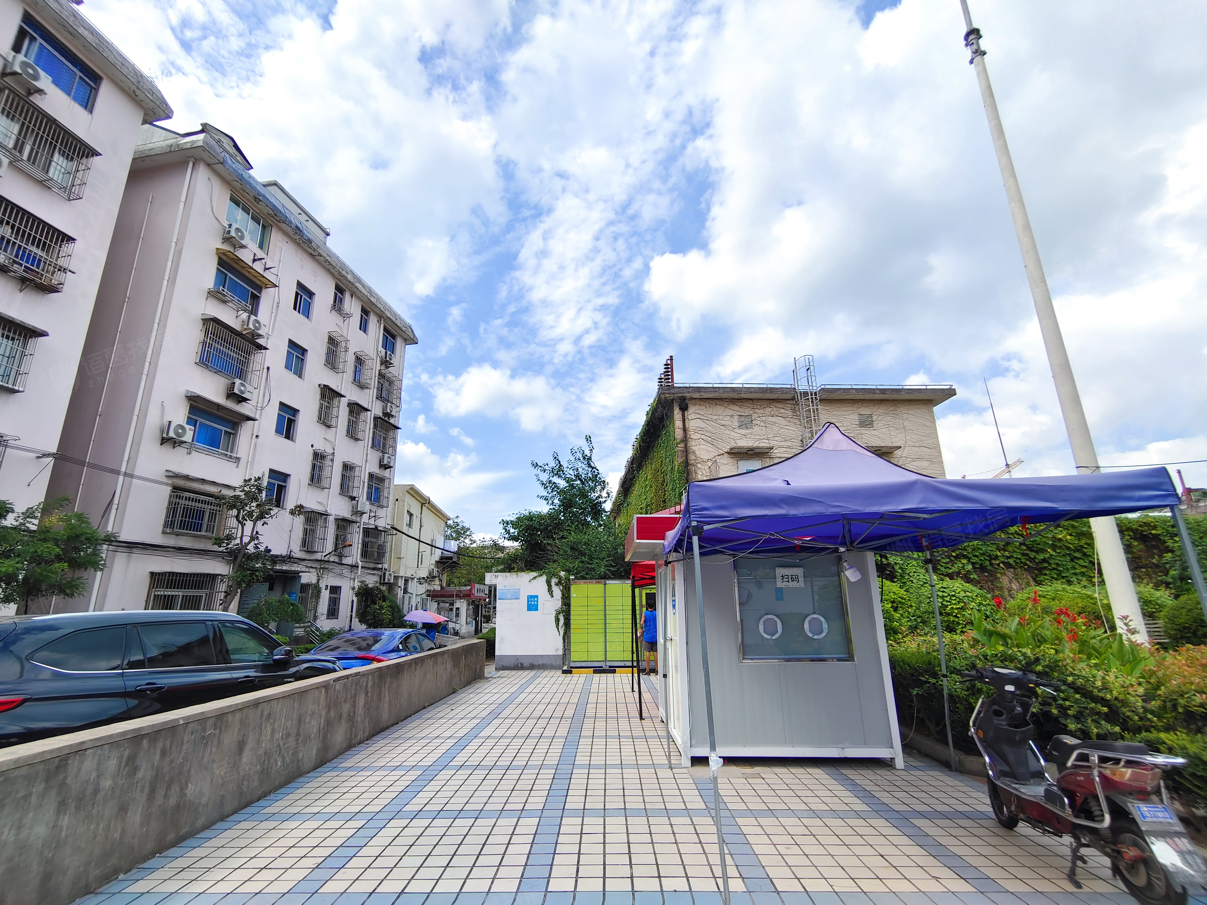 和平小区(浦东)