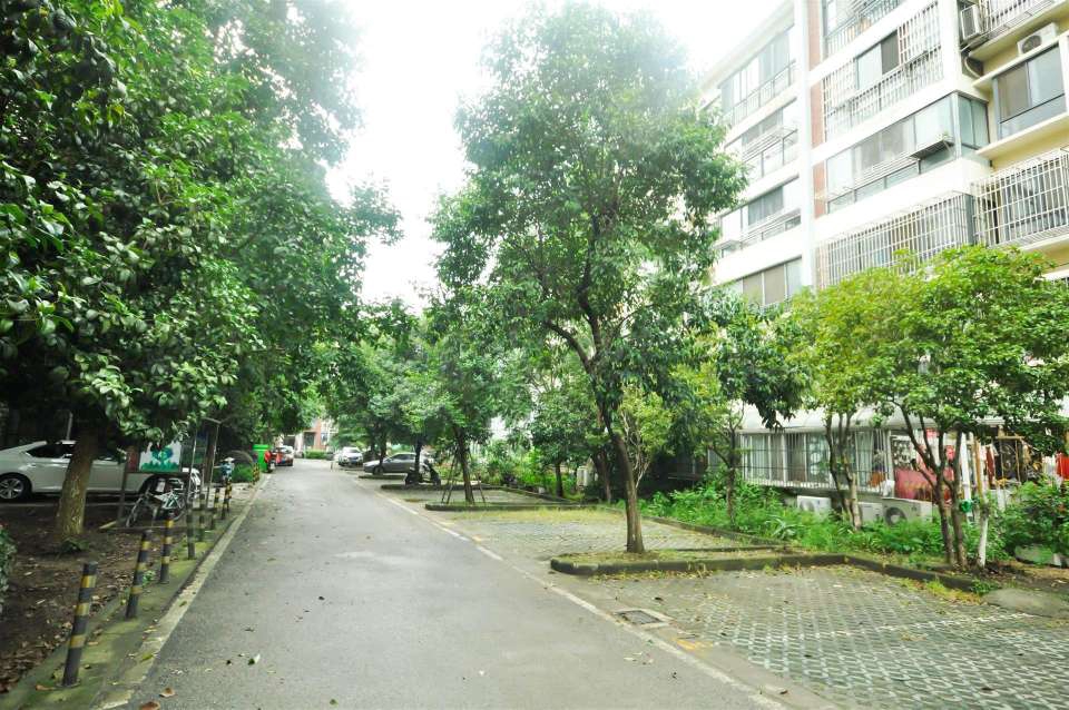 理想城市花园