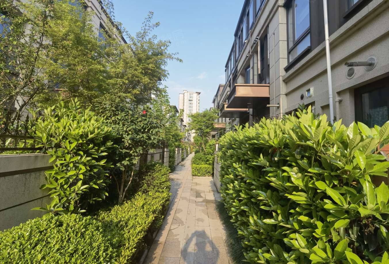 中星佘山溪语