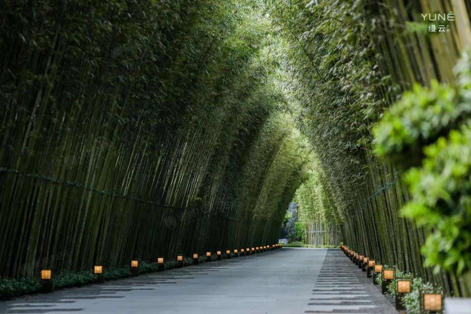 缦云·广州