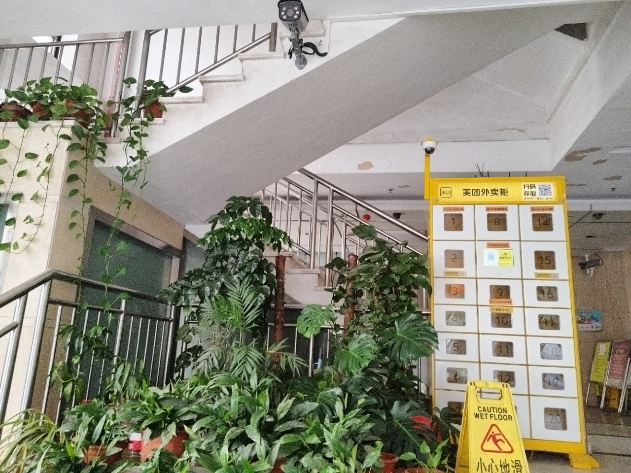 真新商务楼