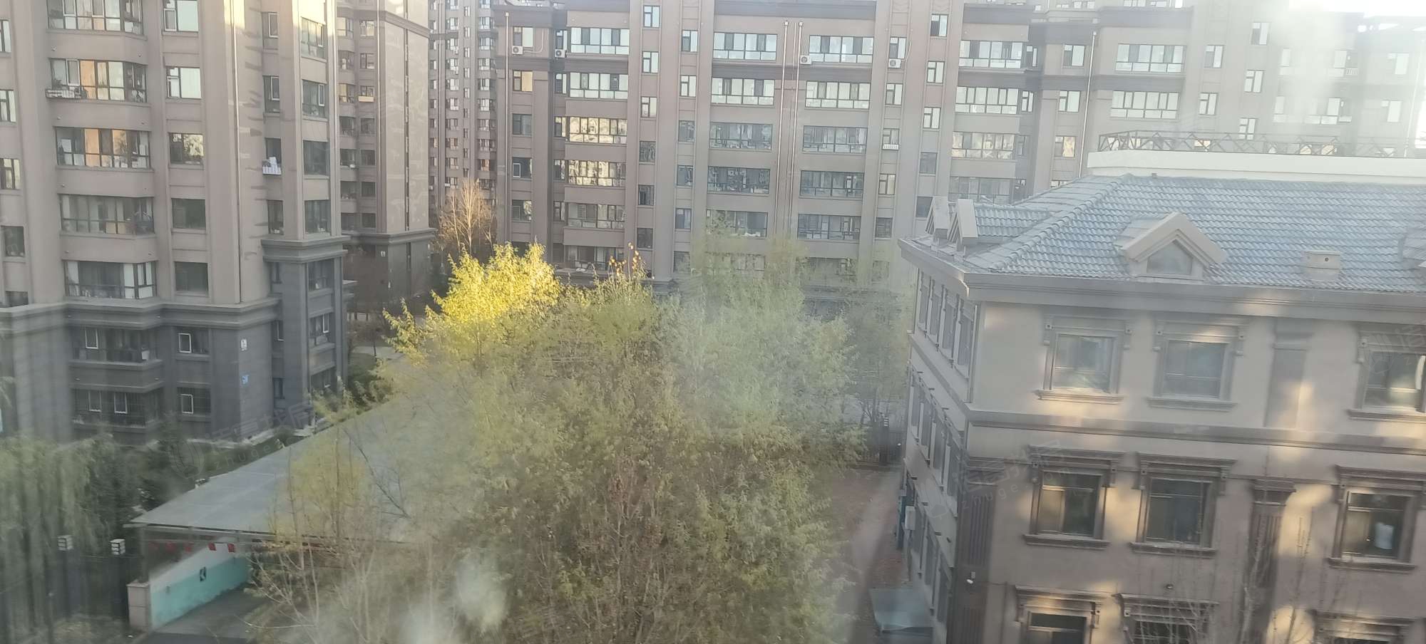 绿色新城东区