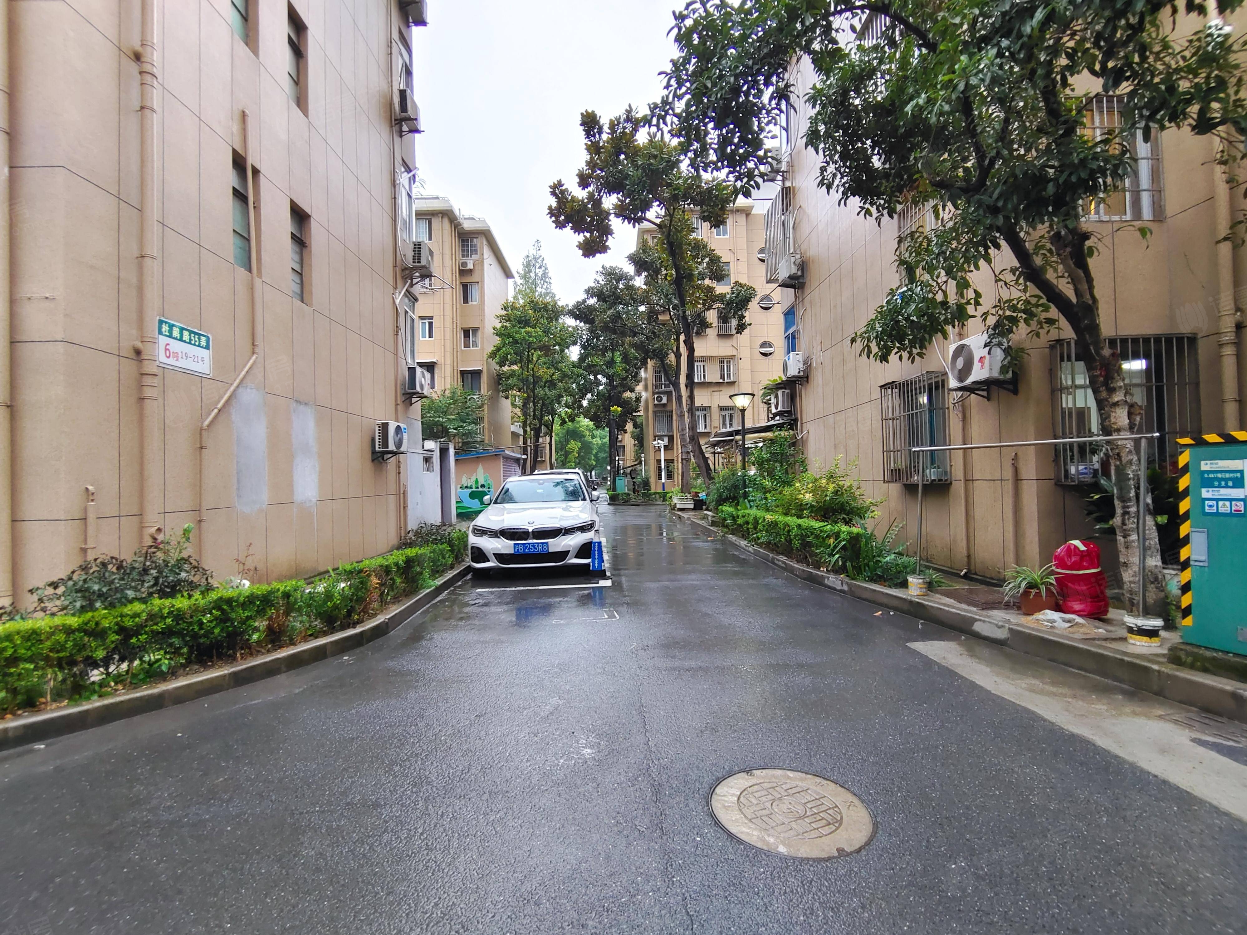 杜鹃路55弄