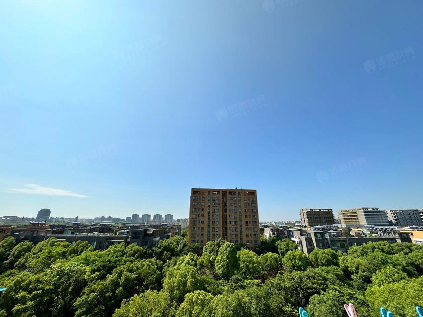 新浦江城(浦驰路1336弄)