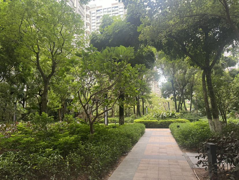中信红树湾