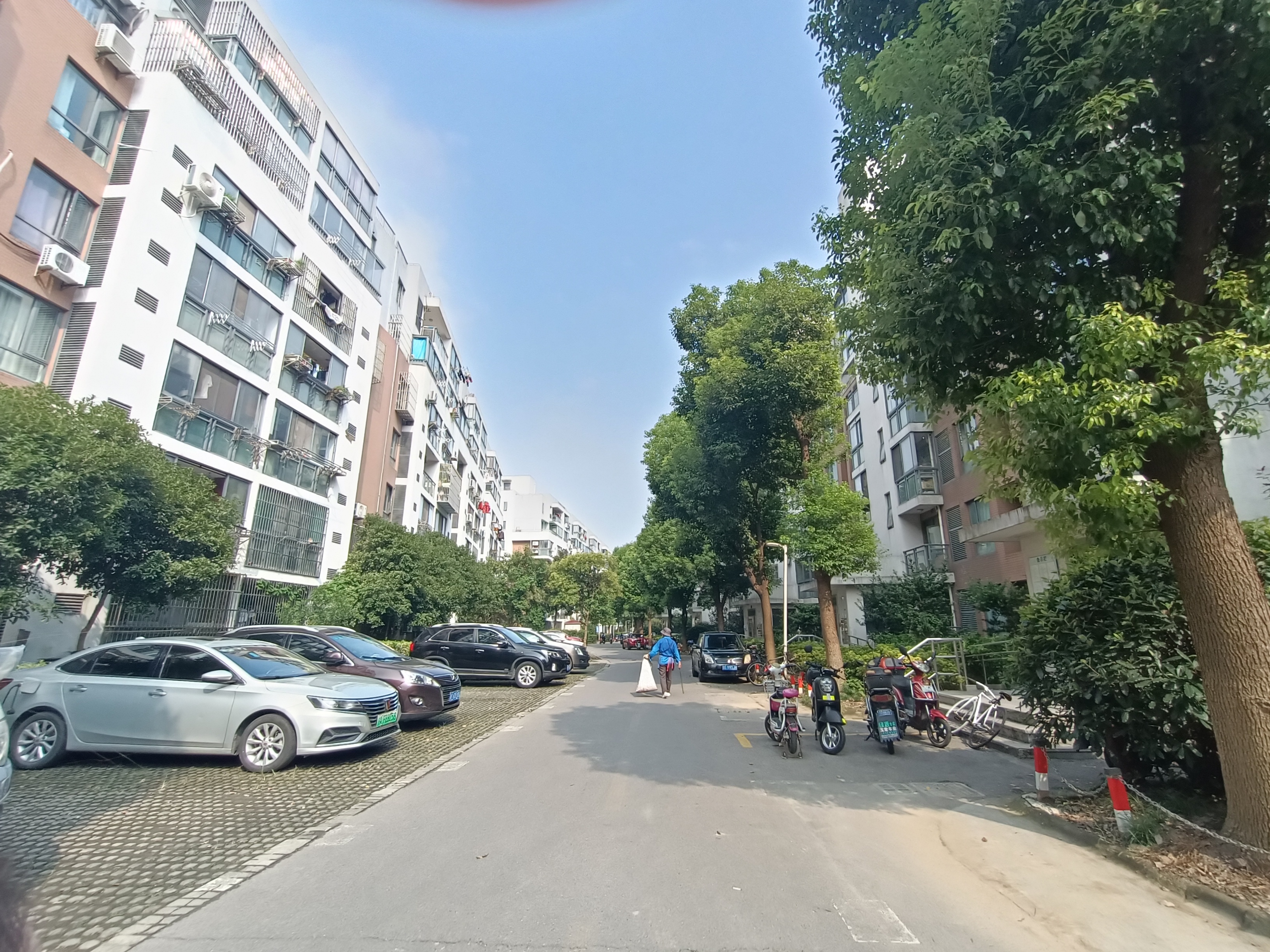 夏阳金城