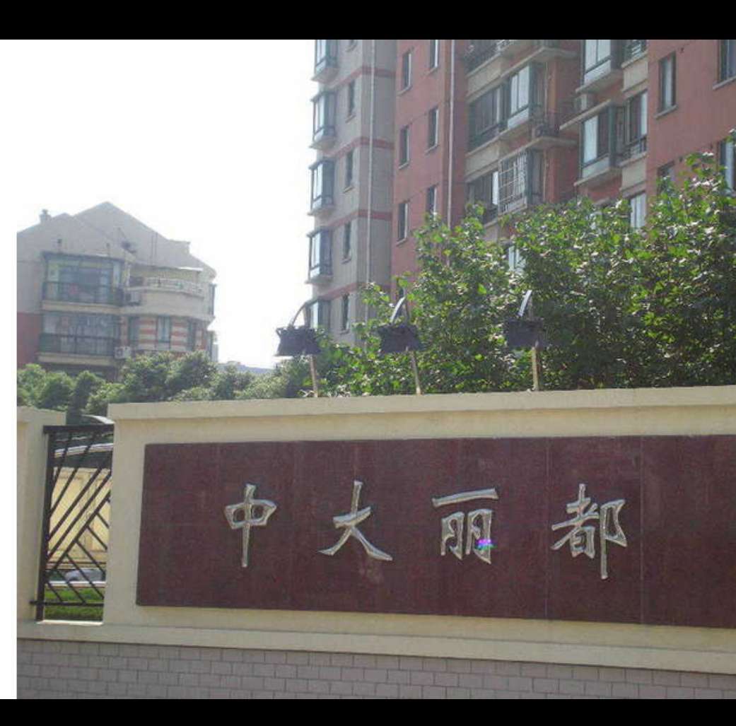 中大丽都