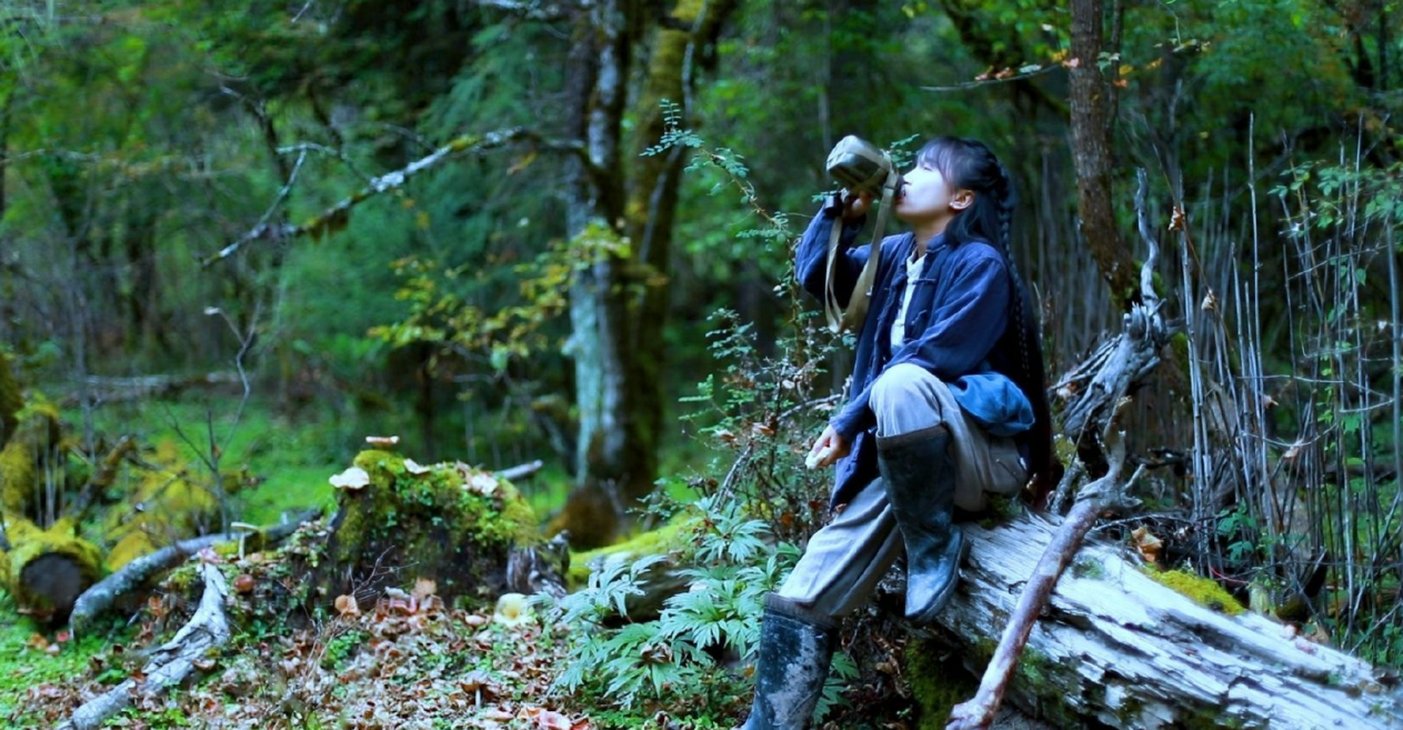 李子柒视频爆火的背后其实是渐渐浮出水面的生活诉求