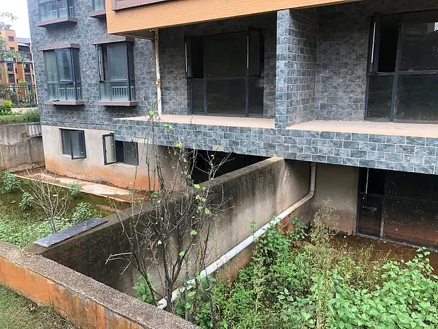 实力坑妈老干妈儿子公司盖出烂尾楼被限制高消费