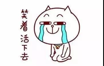 过年与过招,亲戚能有什么坏心思呢!