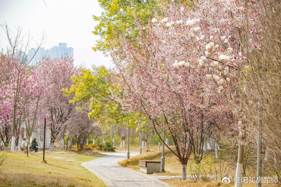 德溪公园实拍图