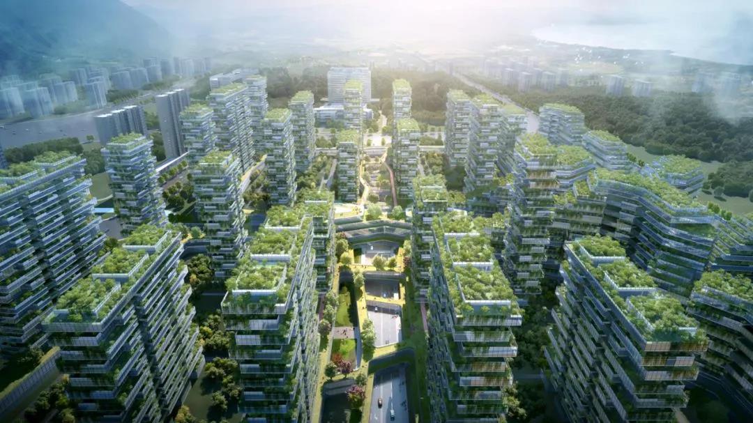 未来社区实验双星炒上天的概念刺激购买还是一地鸡毛