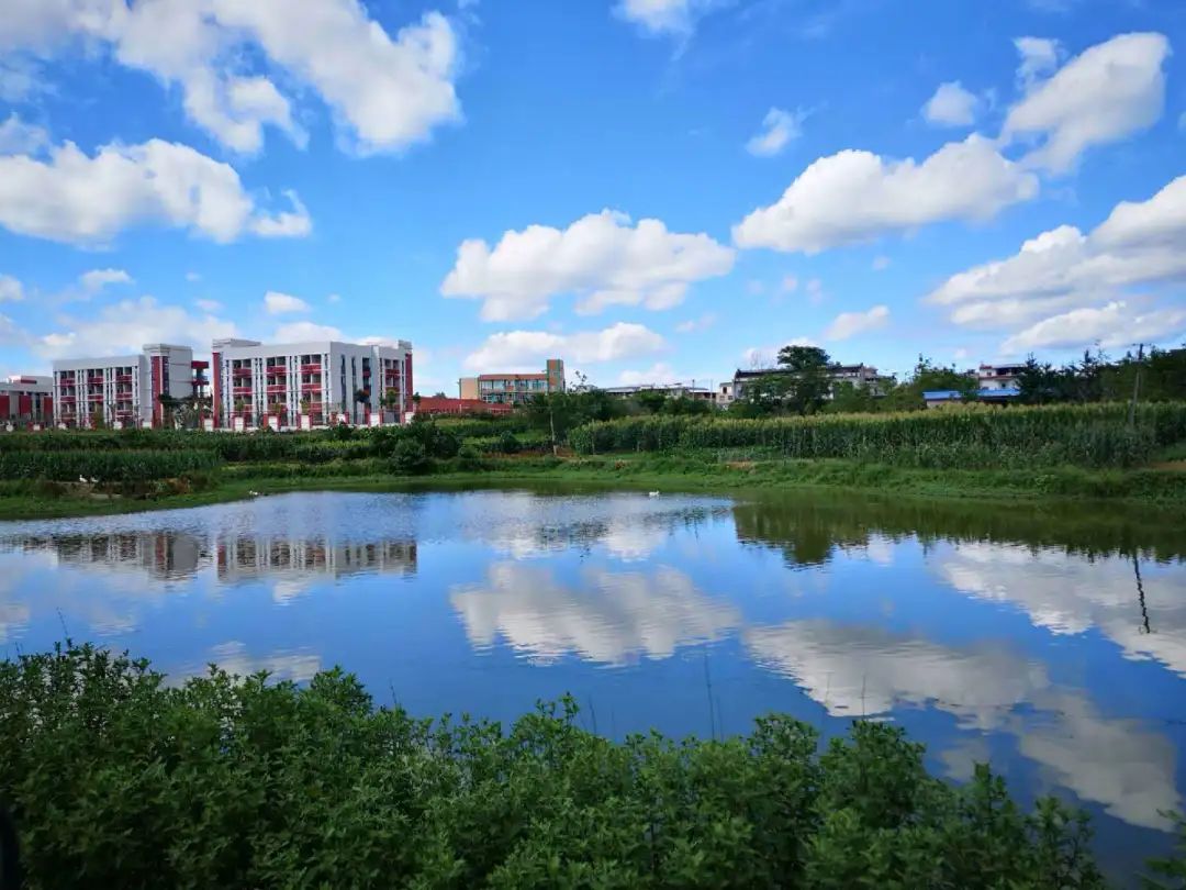 东部新区15个镇街道亮相未来发展怎样